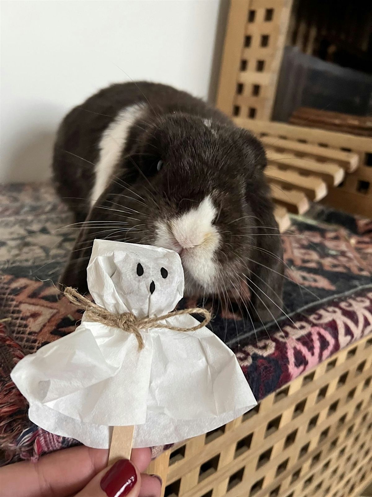 Halloween Crafts at Cheltenham Animal Shelter