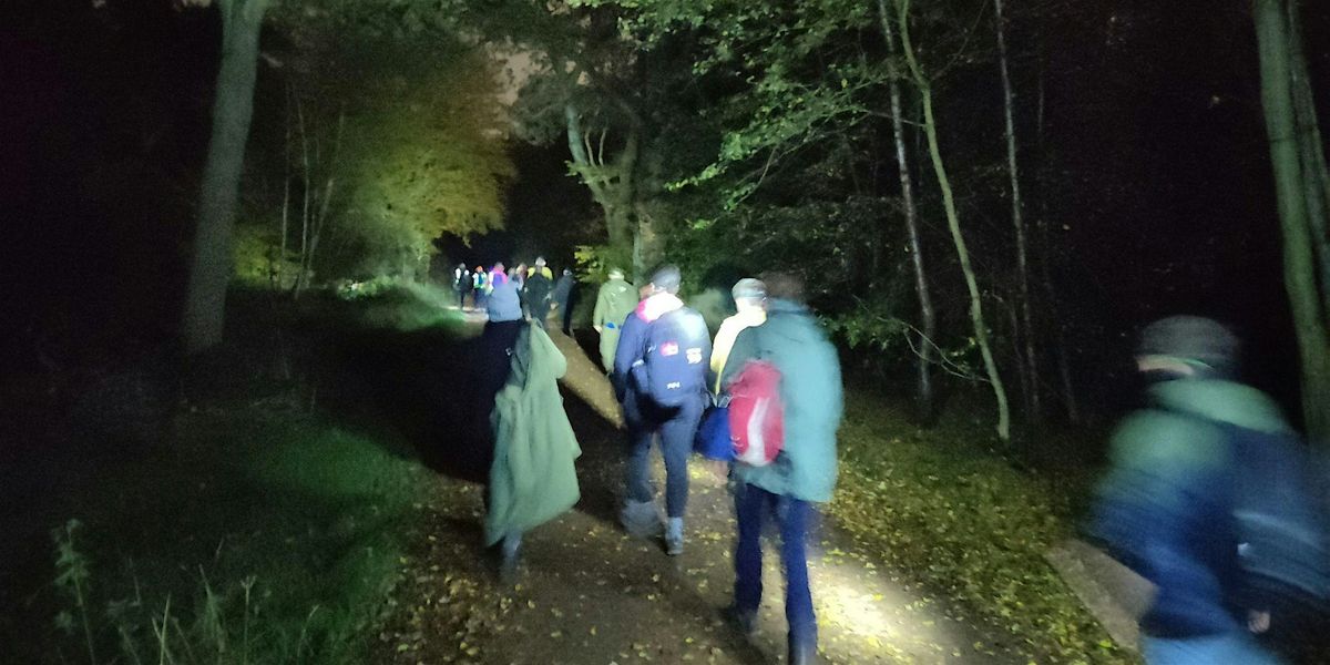A Forest Walk After Dark - Epping Forest Guided Walk