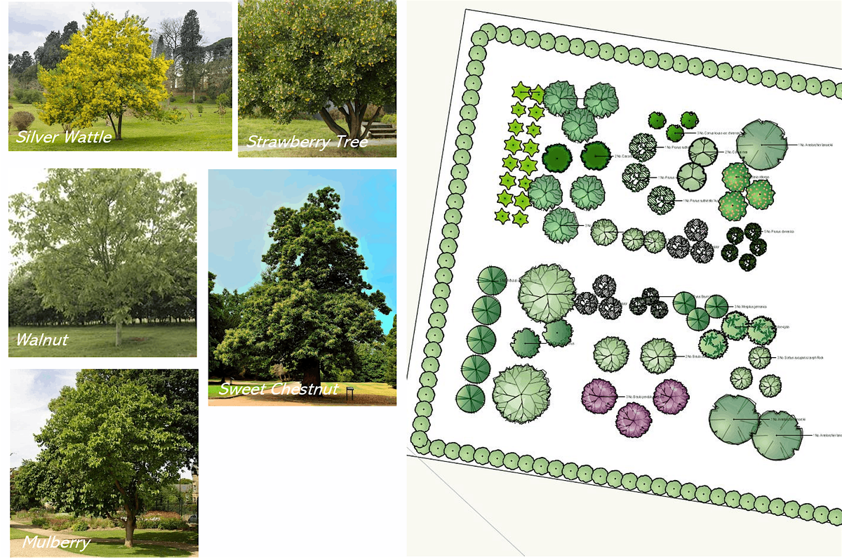 Agroforestry systems inc Forest Gardens  for food production