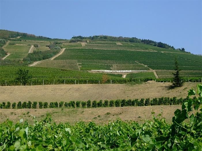 Get to know Sonoma's Sister City - Tokaj, Hungary