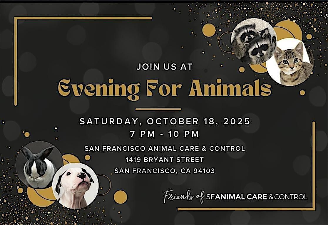 Evening for Animals