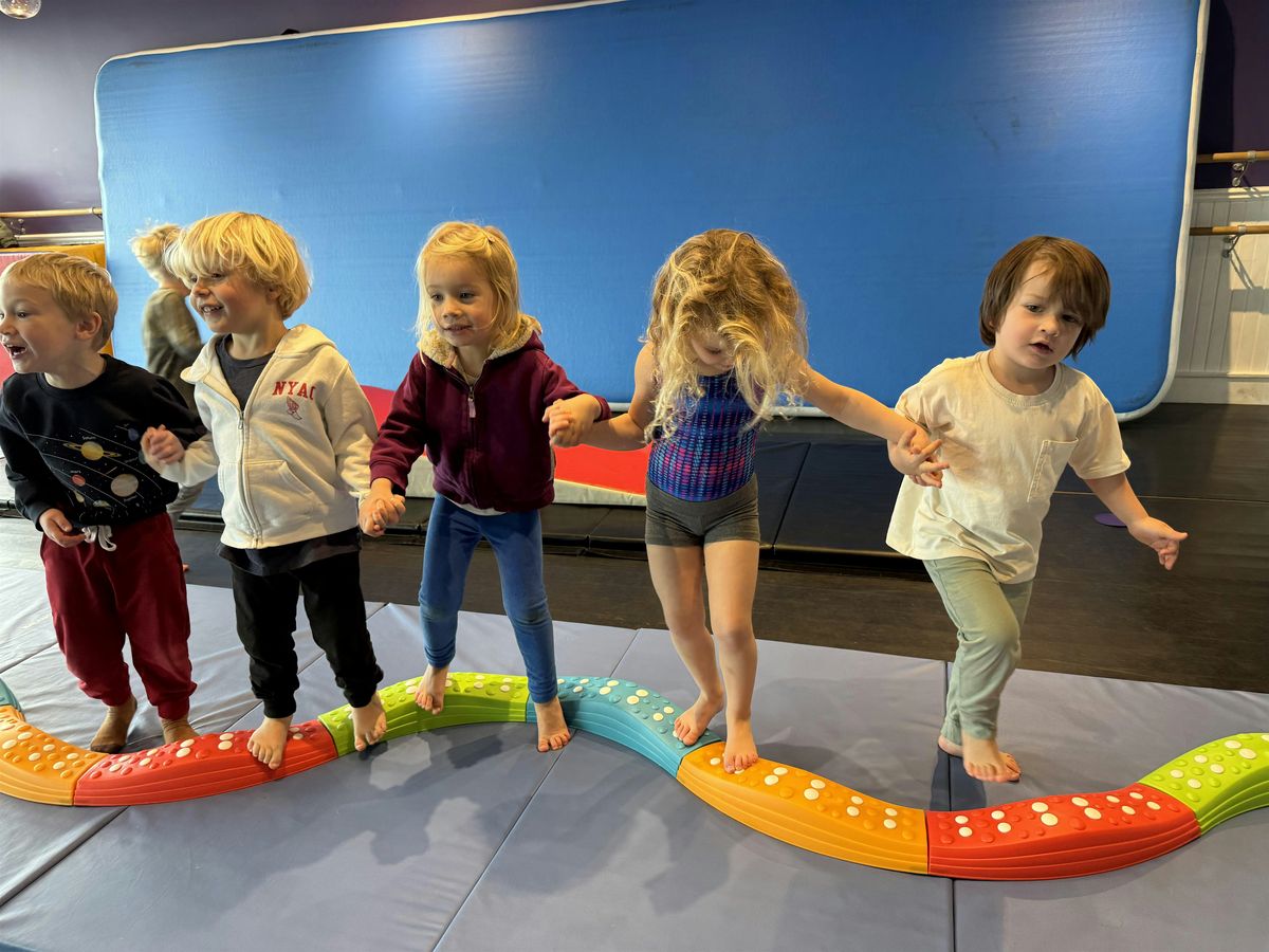 Toddler Open Gym