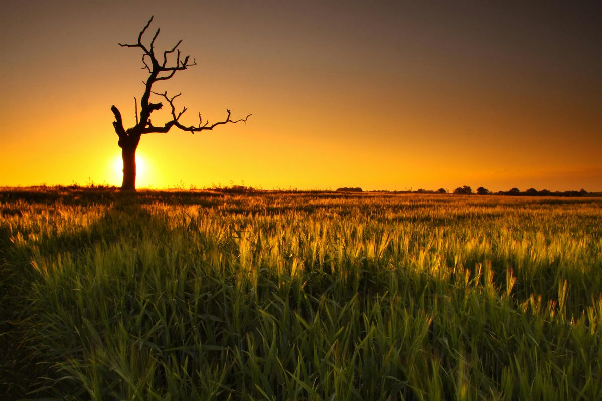 The Ecology of Climate Change with Brian Eversham