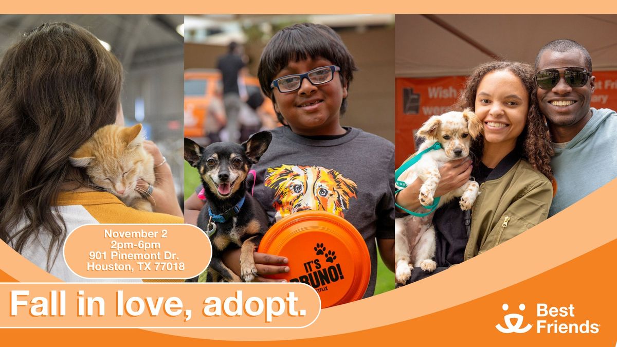 Houston: Fall in Love Adoption event