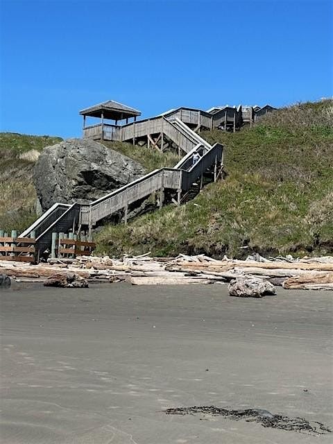 Birding at Coquille Point