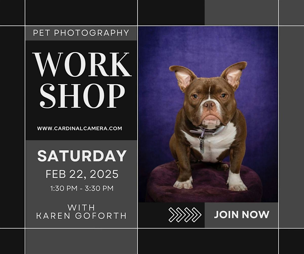 Pet Photography Workshop