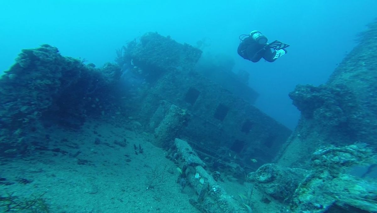 Capt. Dan Wreck & Reef