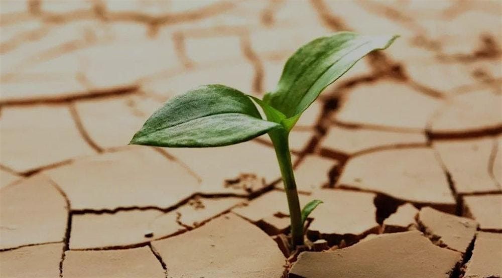 Transforming Adversity into Resilience