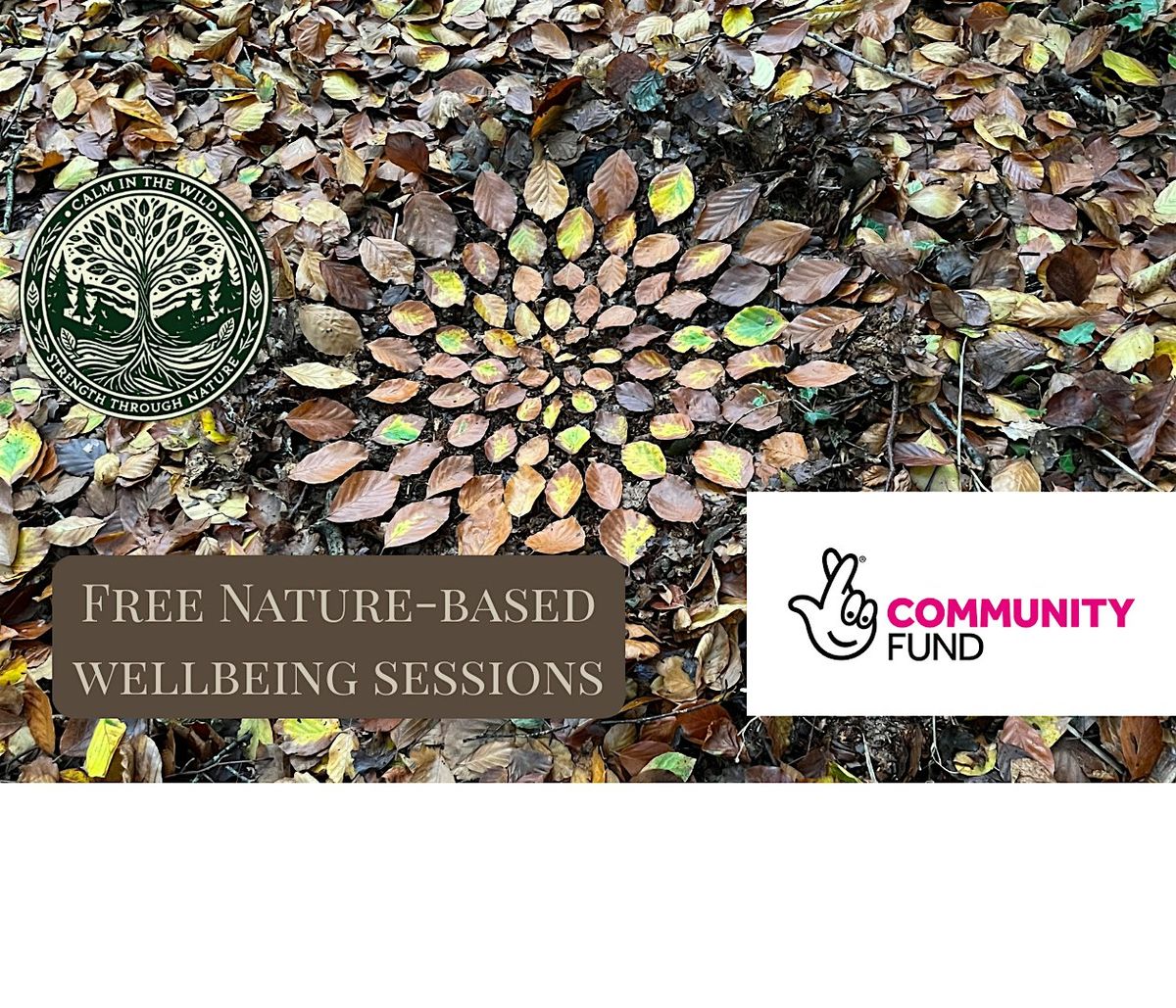 Calm in the Wild: Free Nature-Based Wellbeing Sessions (Keighley)