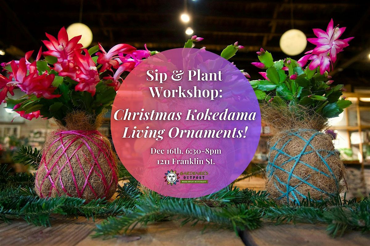 Sip & Plant Workshop: Christmas Kokedama Living Ornaments!