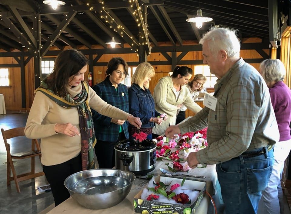 Camellia Workshop with Wiregrass Camellia Society