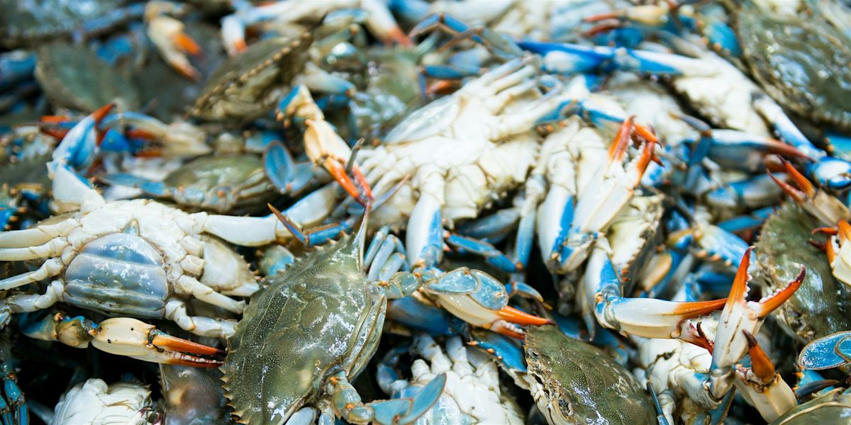 Crabs for a Cause 2025