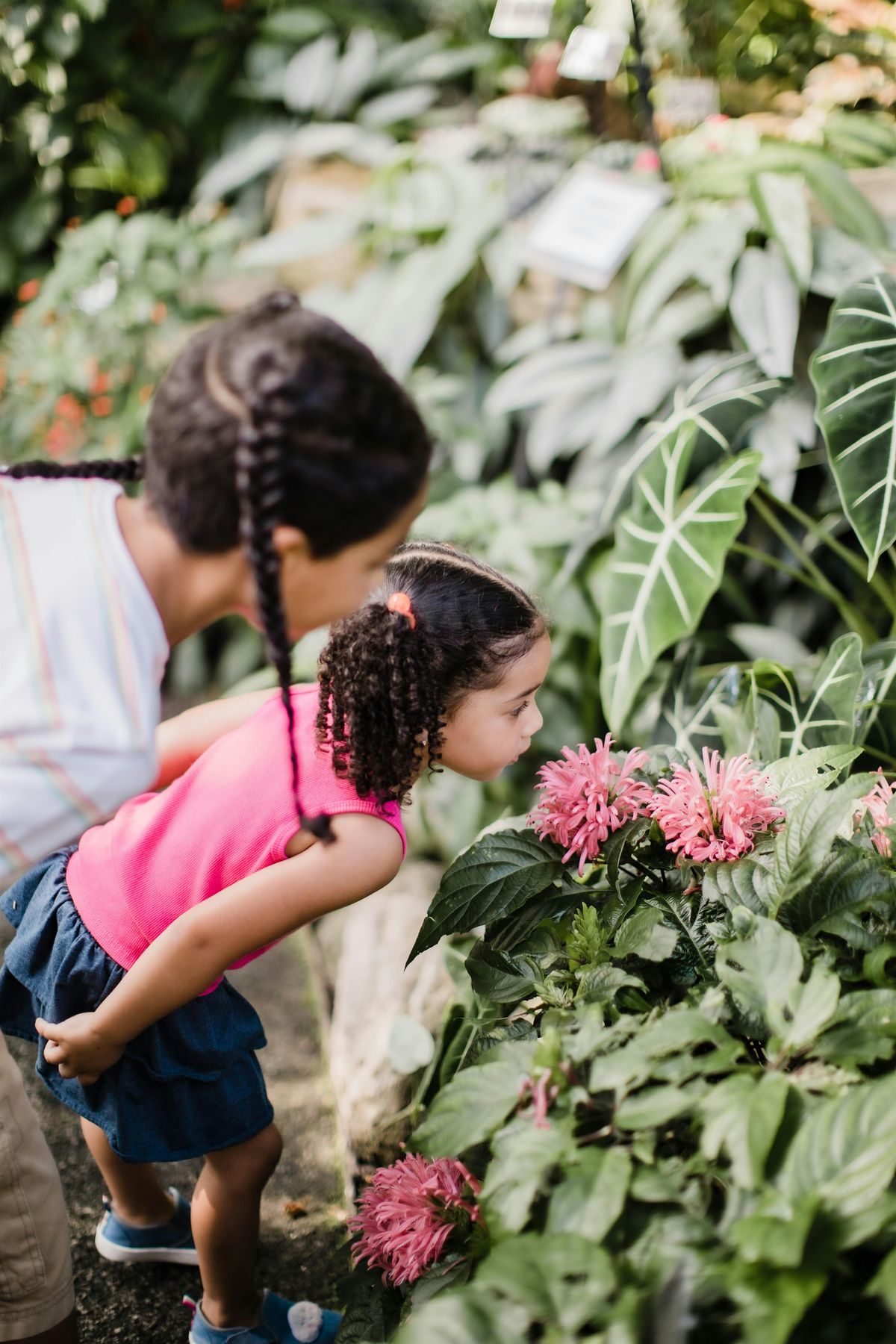 Winter in the Tropics: A Family Fun Fest!