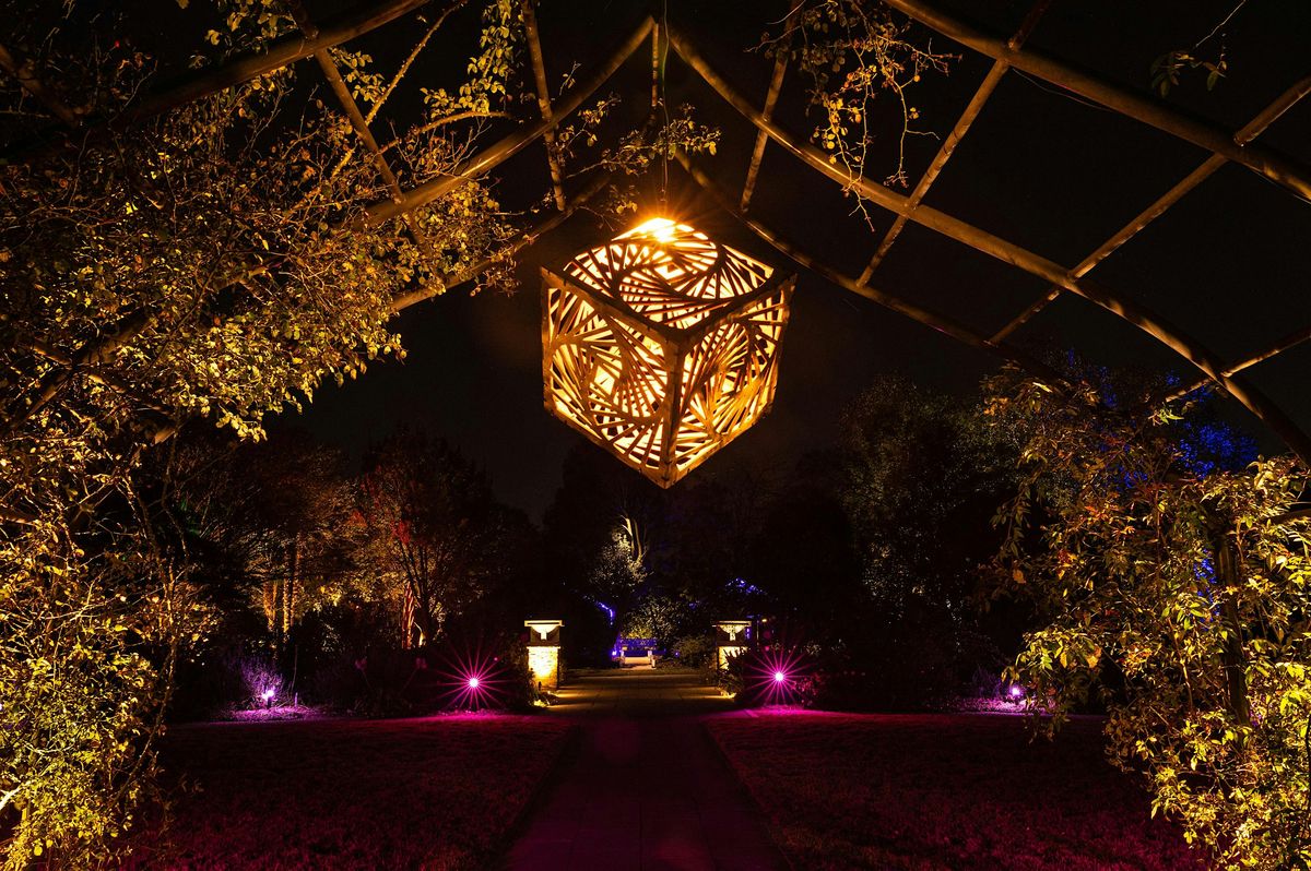 Preview Night for Moonlight in the Garden at the JC Raulston Arboretum