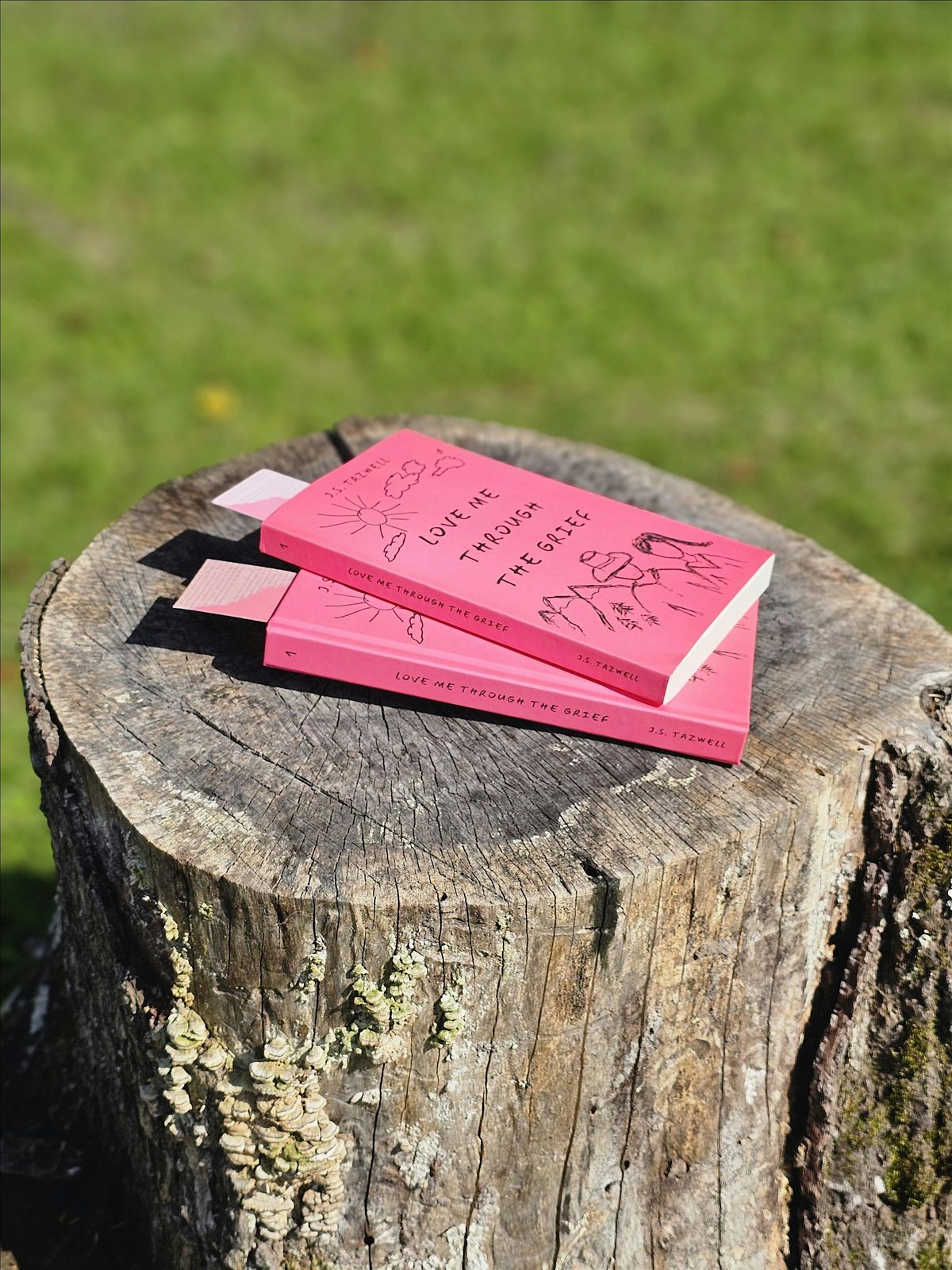 Boots, Books, & Broken Hearts: A rustic-themed book launch celebration