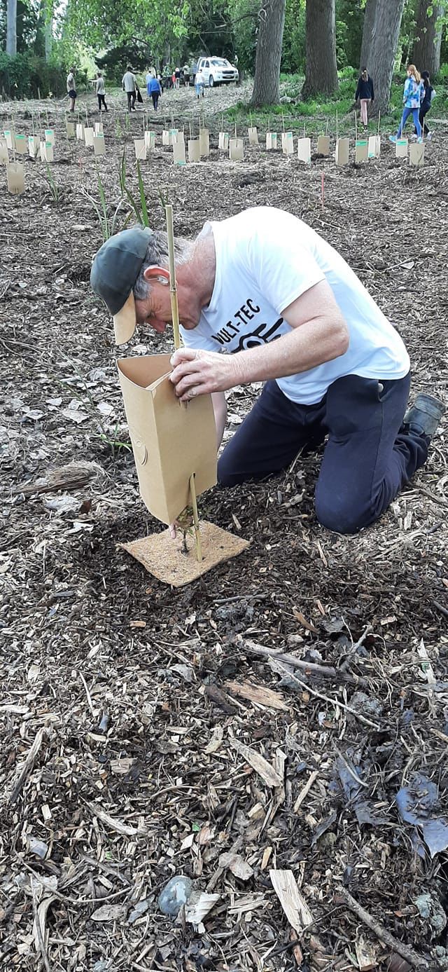 The Groynes - \u014ctukaikino River Community Planting Event