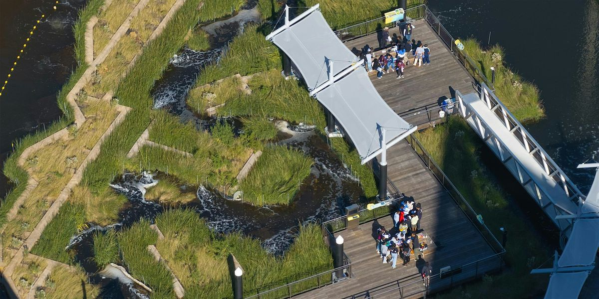 Harbor Wetland Exploration