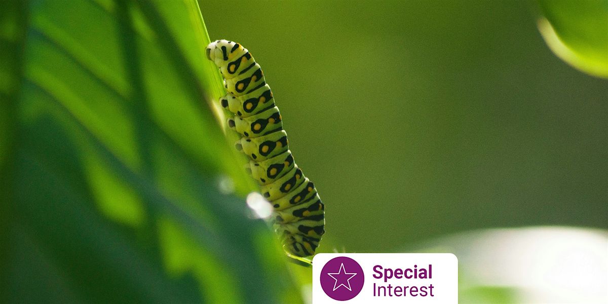 Libraries After Dark: Natural Pest and Disease Management