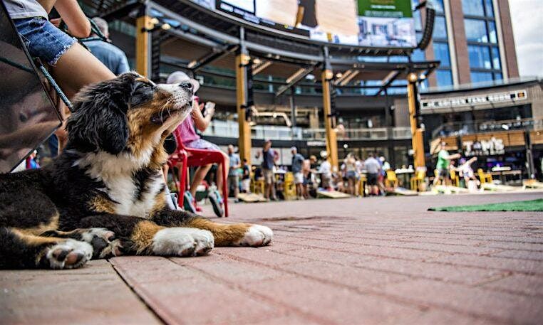 Bark At The Park Yappy Hour