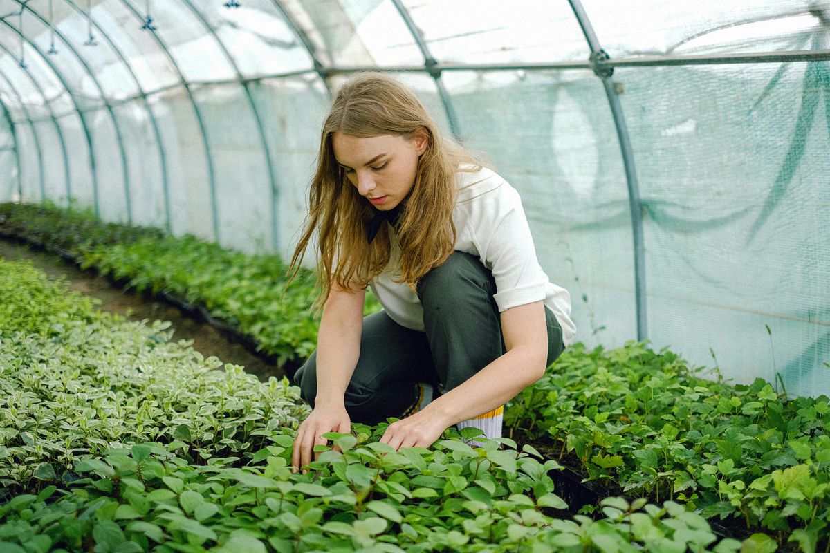 Gardening Without the Ouch: Posture Techniques for Gardeners