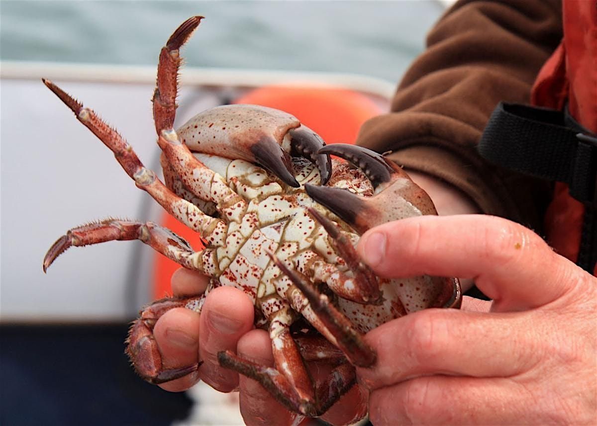 Introduction to Crustaceans