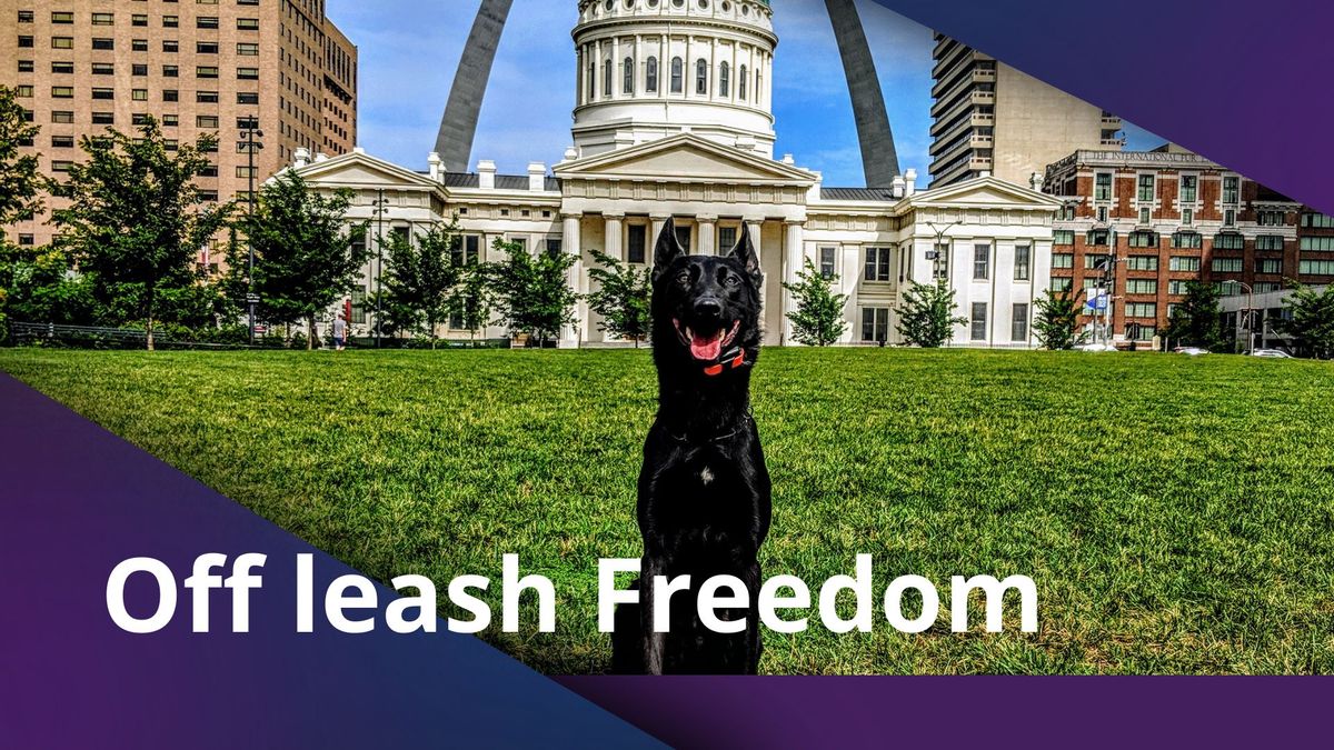 Off Leash Freedom