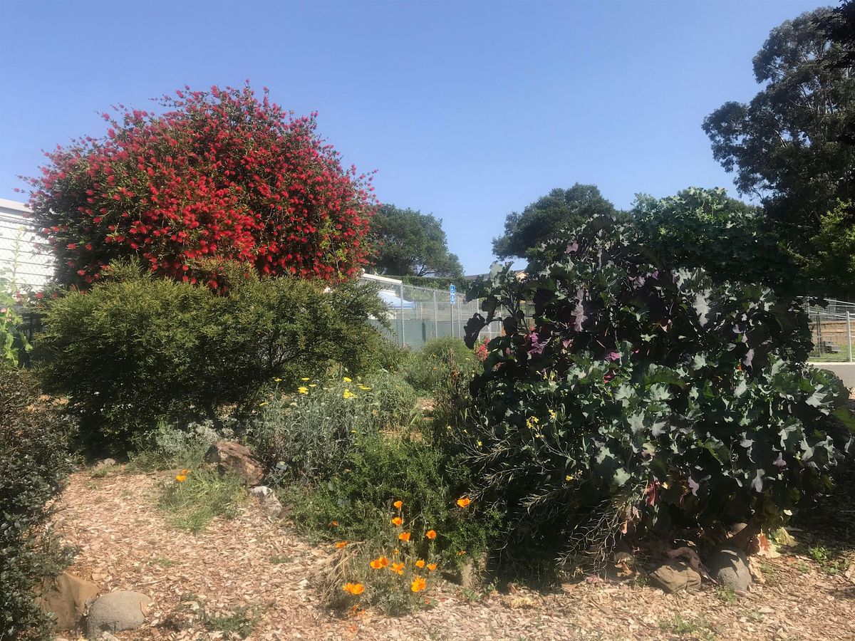 Benicia & Vallejo Annual Demonstration Food Forest Tour