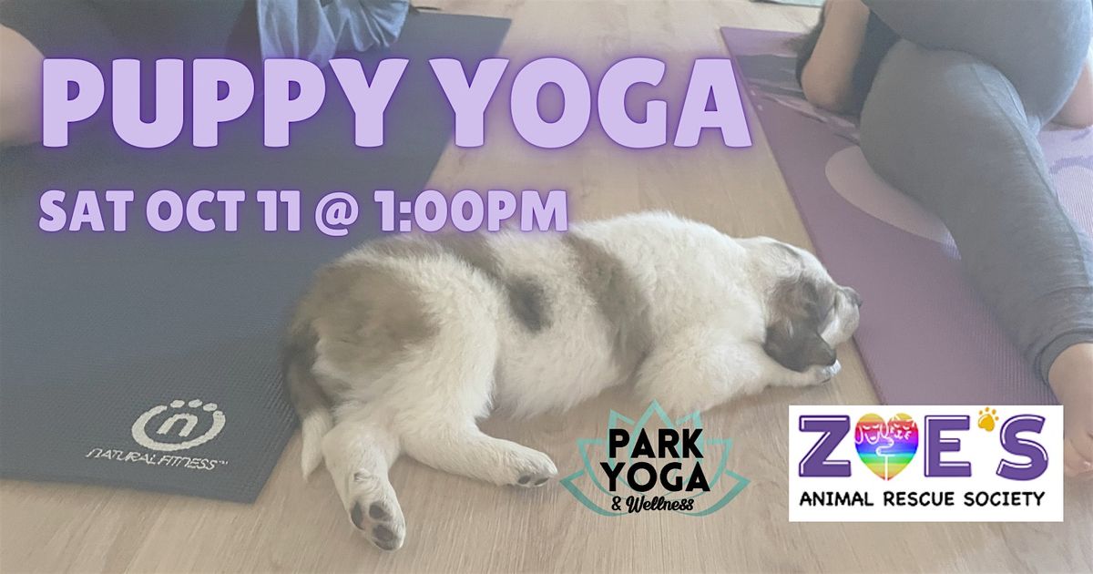 Puppy Yoga