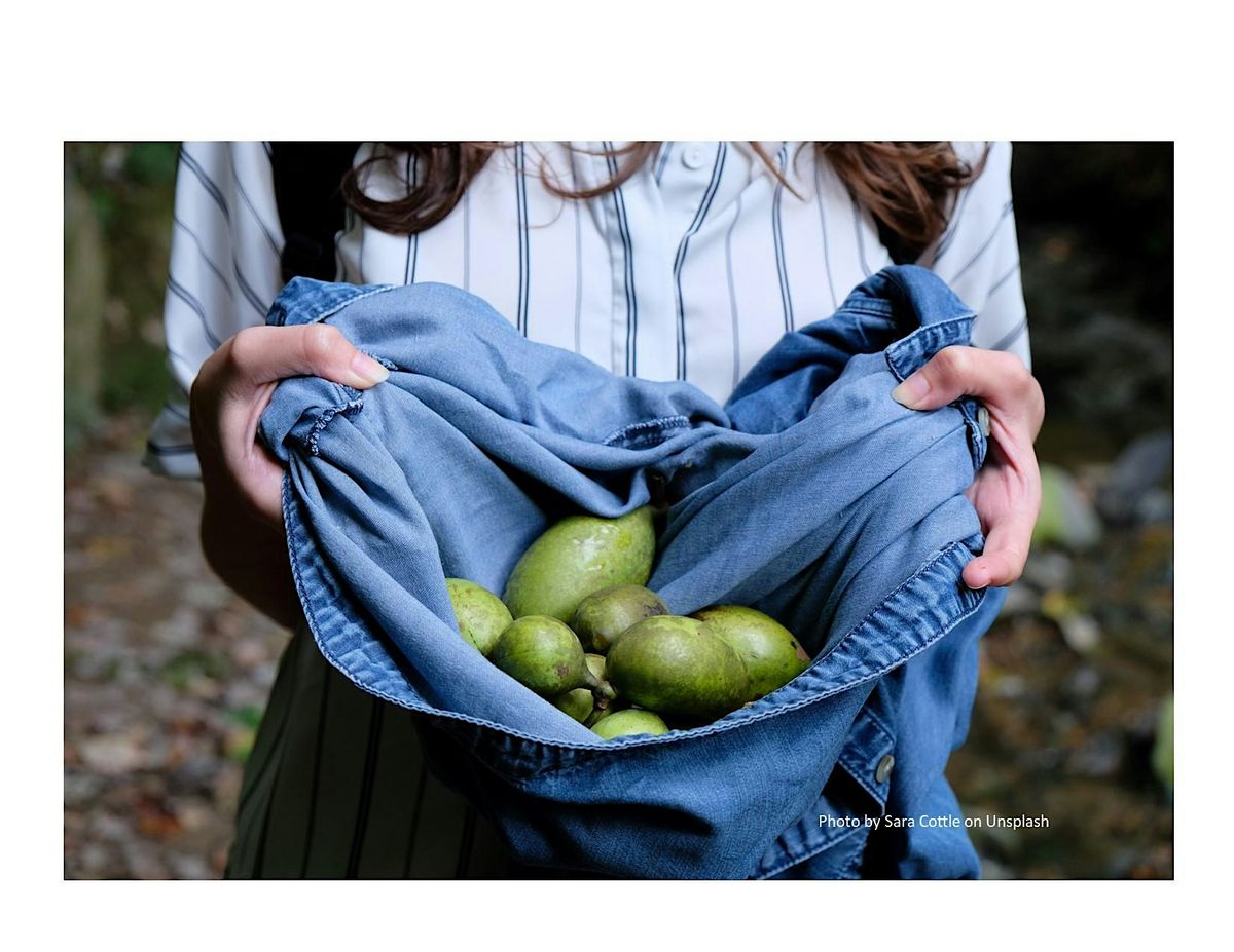 Frederick County Master Gardener: Pawpaws, a Little Known Treasure