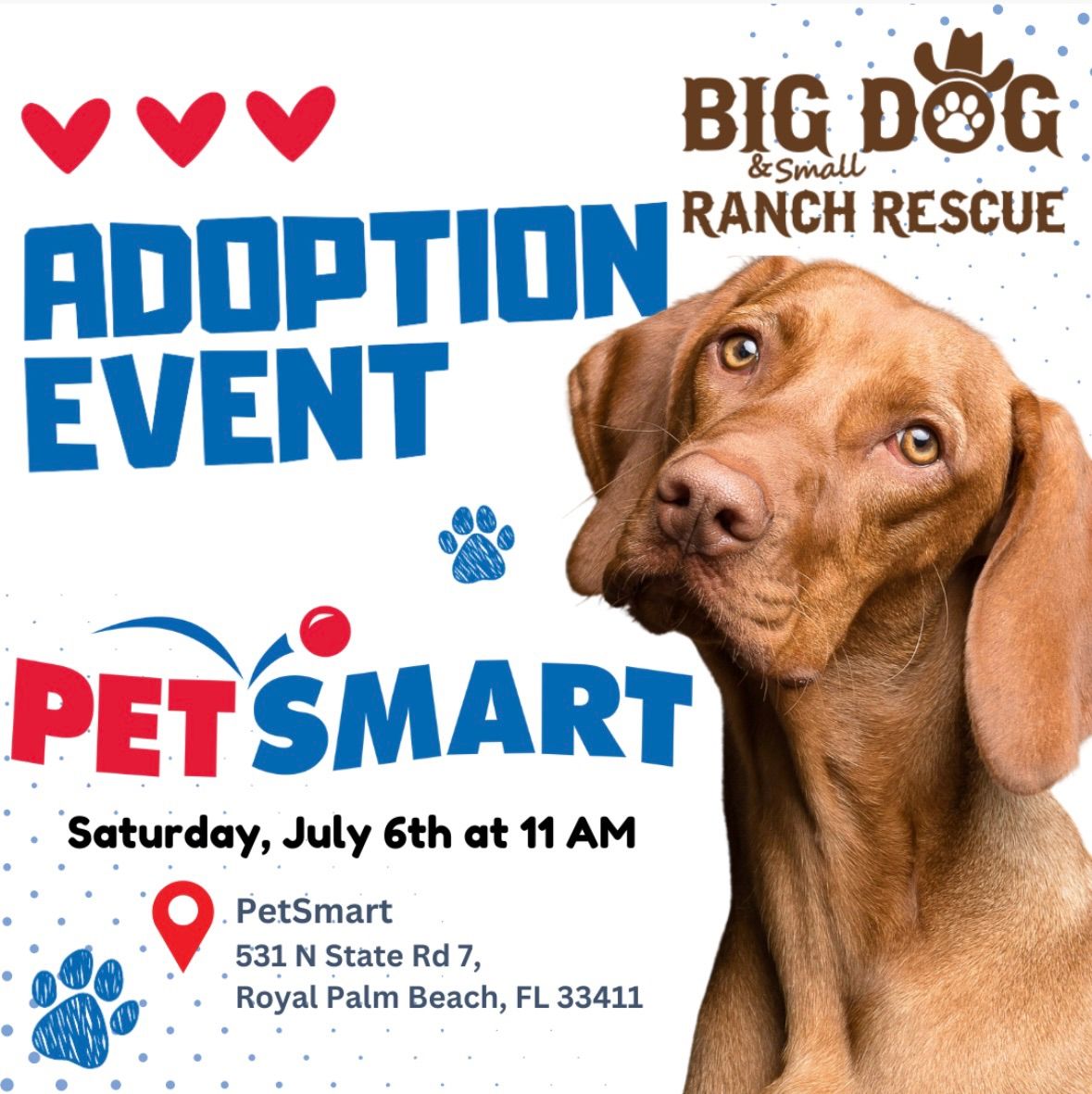 PetSmart Adoption Event