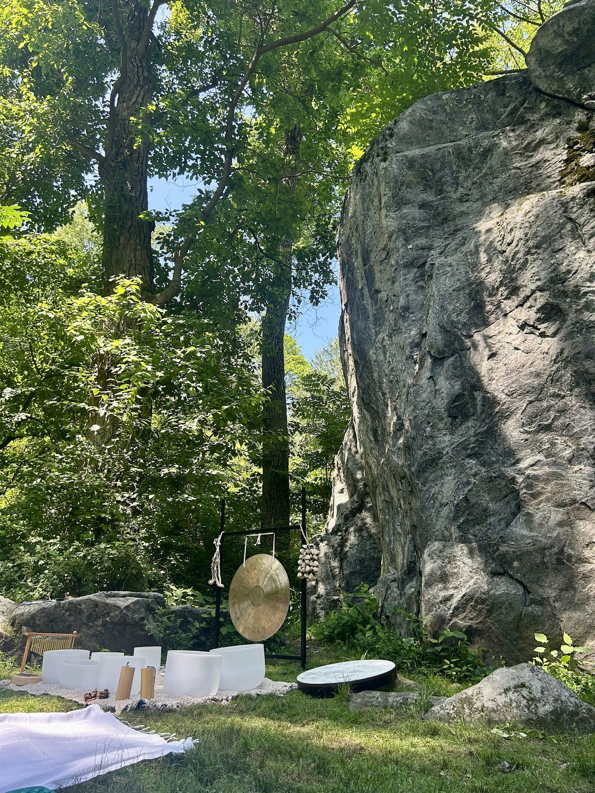 Autumn Equinox Forest Bathing & Sound Healing