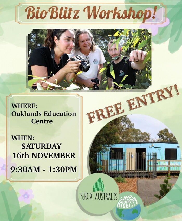 Ferox Australis BioBlitz Workshop at Oaklands