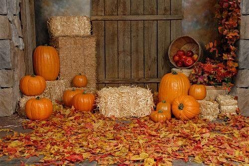 Free Fall Family Festival