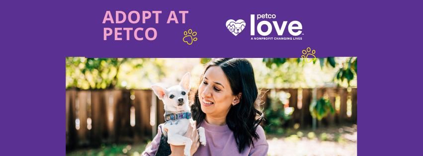 Petco Adoption Event - Farragut