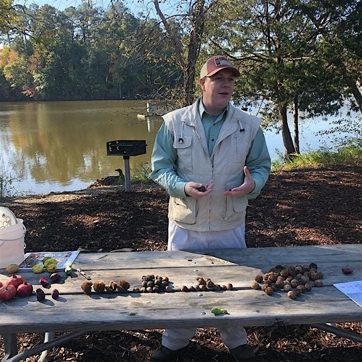 Fall Forest Treasures: Fungi & Nut Foraging Expedition