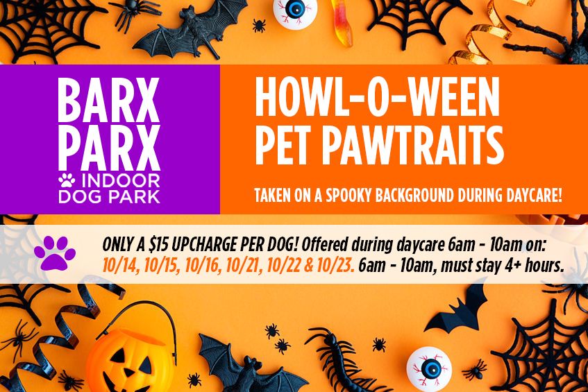 $15 Howl-o-ween Pawtraits During Daycare (Select Dates 6am-10am) 