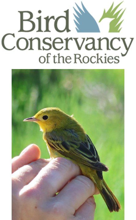 Exclusive Chico Basin Ranch Bird Banding & Birding Field Trip with Bird Conservancy of the Rockies