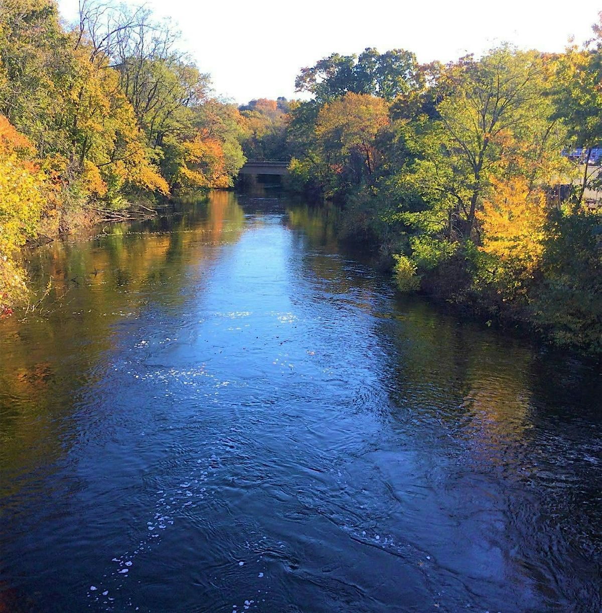 Lower Neponset River: Phase 1 Data Evaluation Memorandum Presentation ...