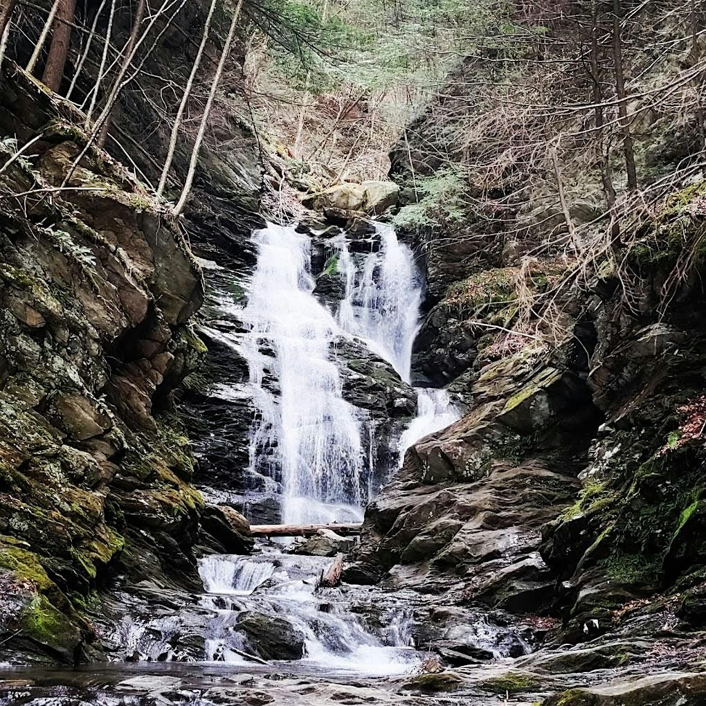 Q-MoB Easy Hike: Cascades Waterfall (North Adams, MA)