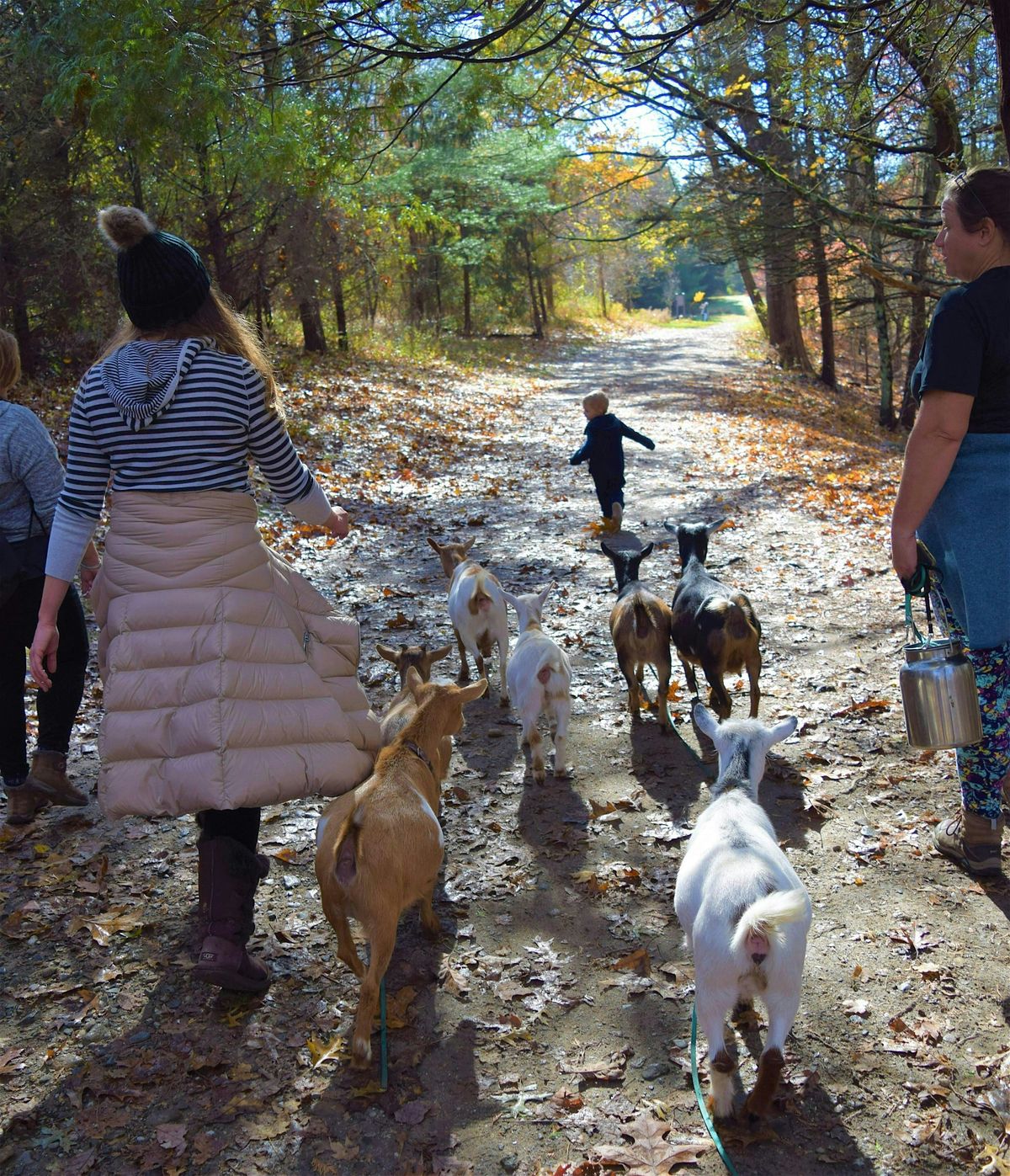 Goat Hike - Sponsored by the Orange CT Land Trust  at CAMP CEDARCREST