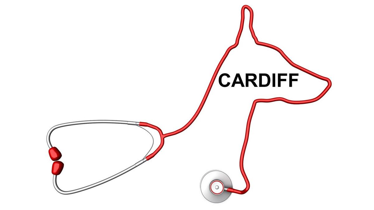 CANINE HEALTH & FIRST AID CARDIFF  