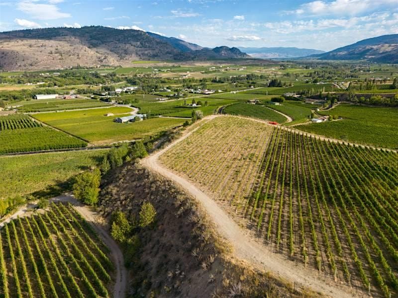 Oliver Scavenger Hunt: Oliver's Downtown Delight