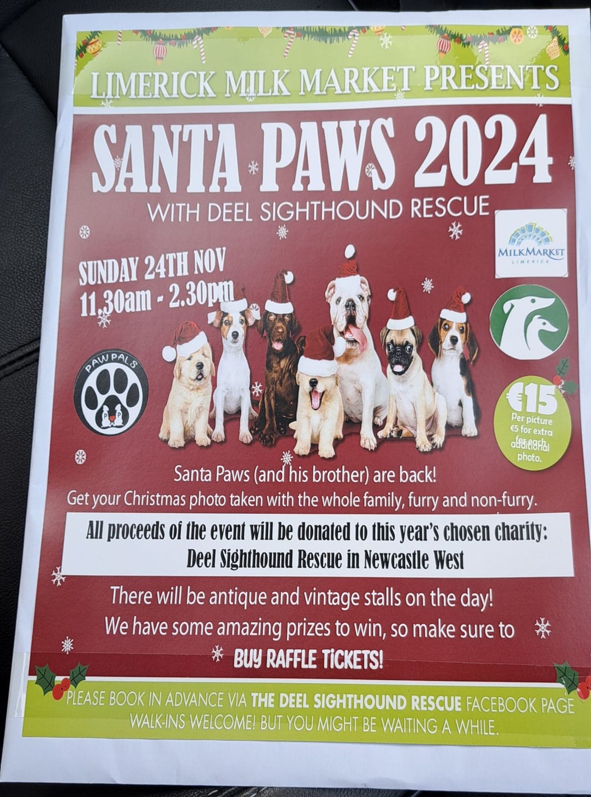 Santa Paws on the 24th November