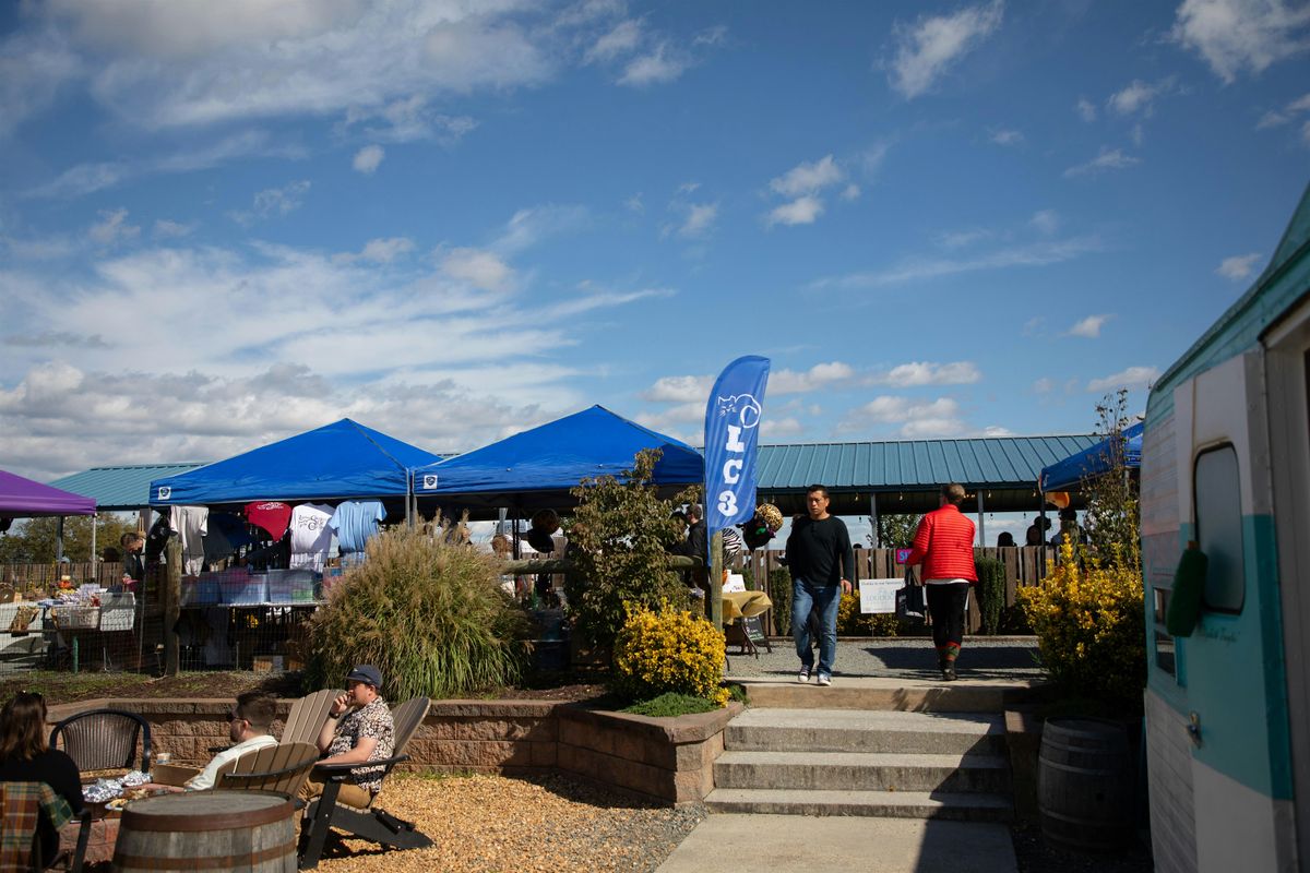 LC3's Pints 4 Paws Celebration and Fundraiser for Community Cats & Kittens