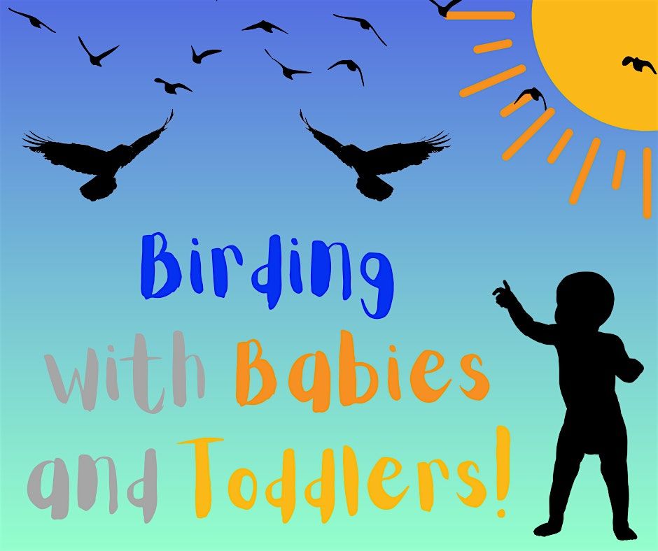 Birding with Babies and Toddlers