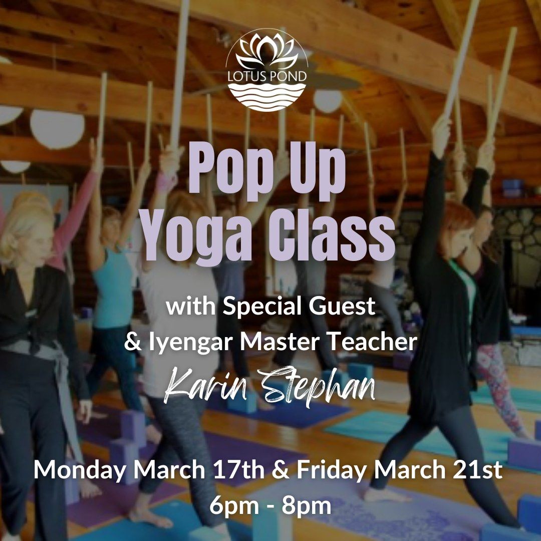 Friday Pop Up Yoga Class with Iyengar Master Teacher Karin Stephan