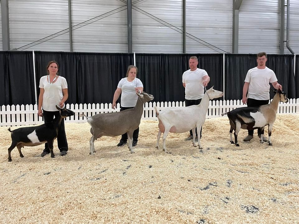 2023 CGS West National Dairy Goat Show @ K Days