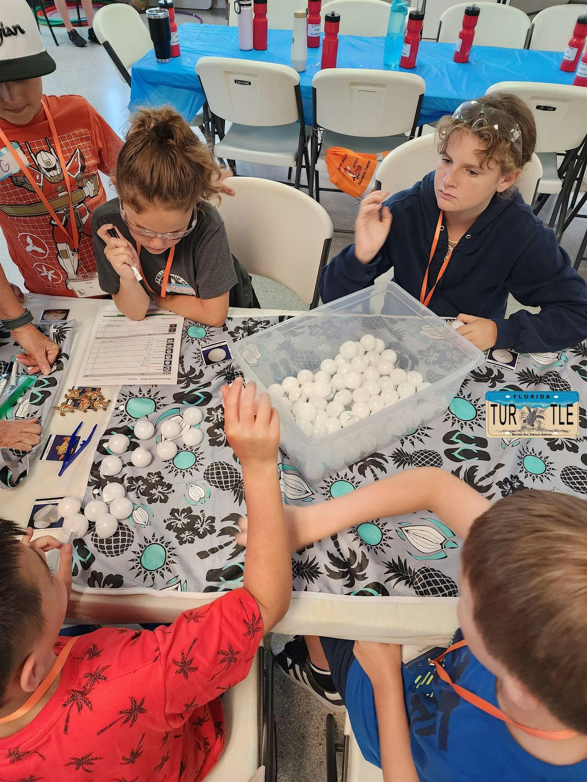 Student Program: Sea Turtle Biologist-in-Training