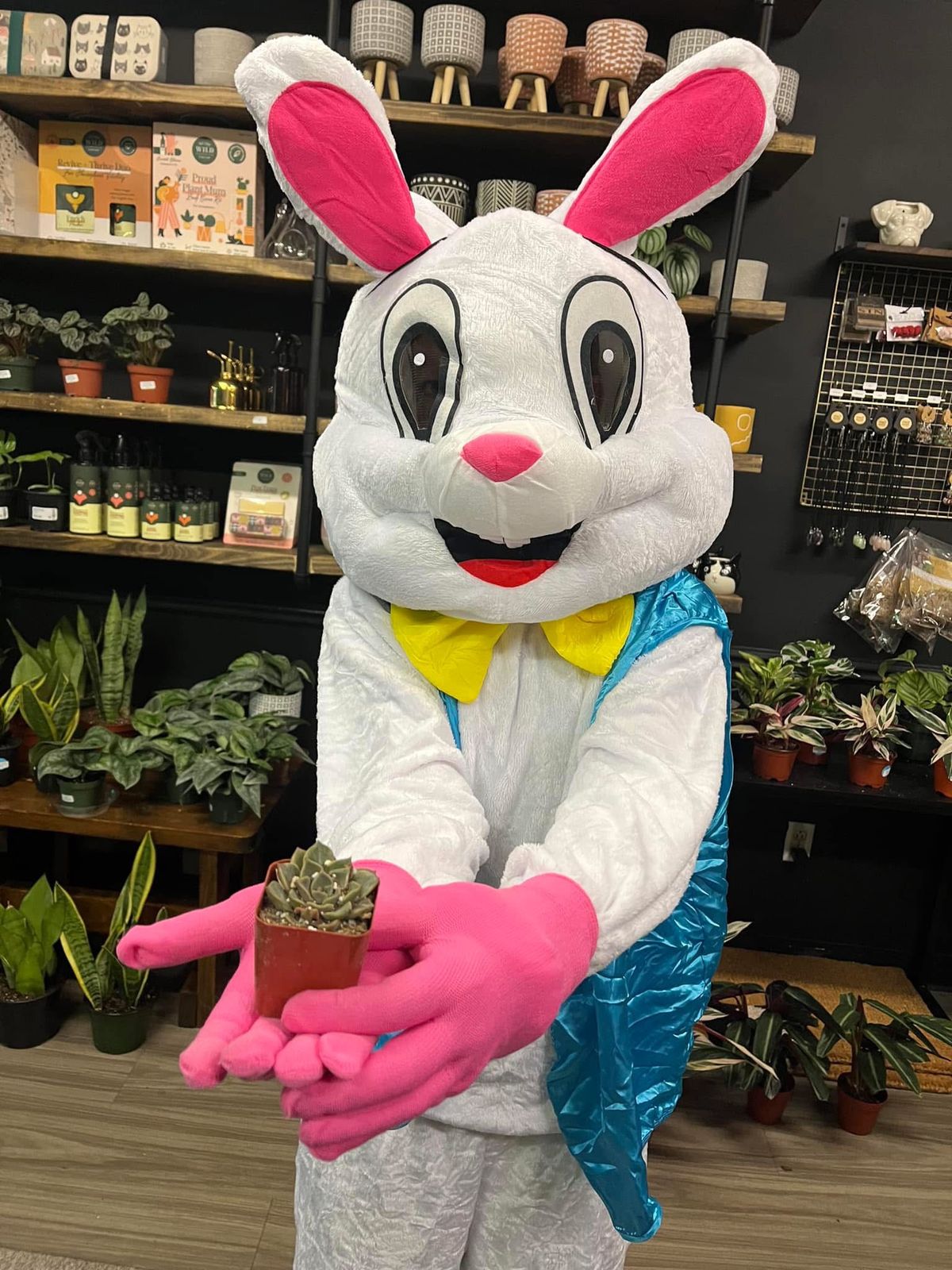 Free Photos with Easter Bunny! 