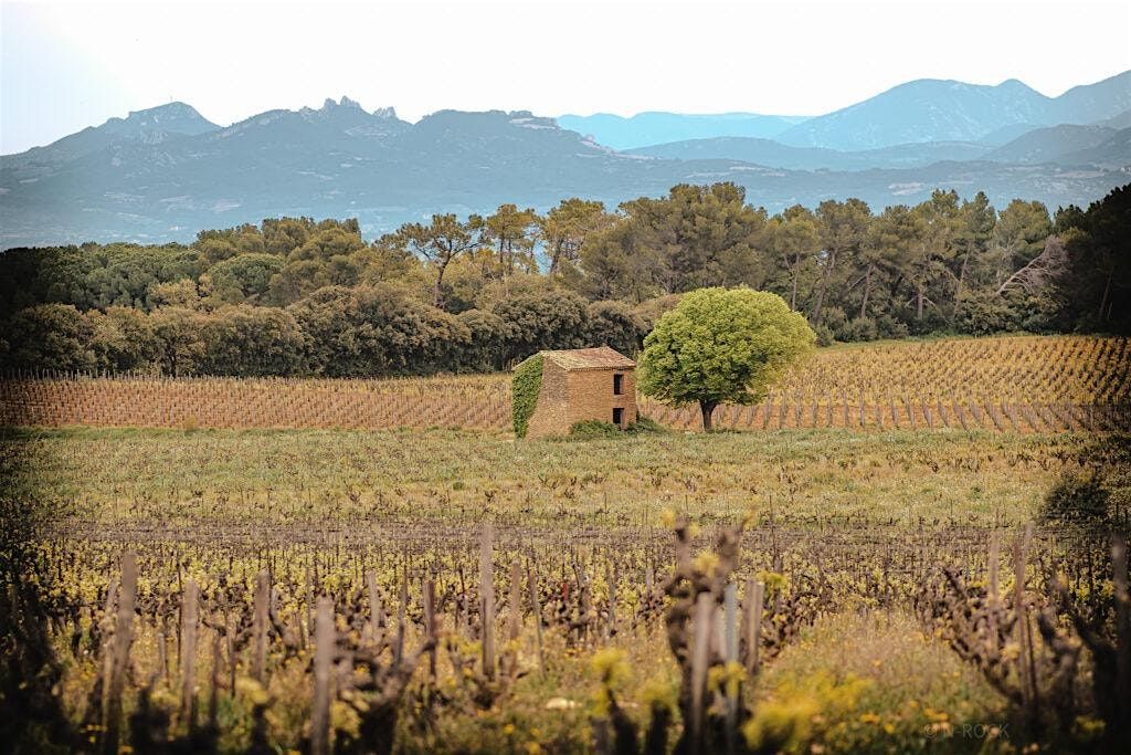 Domaine du Vieux T\u00e9l\u00e9graphe Wine Dinner